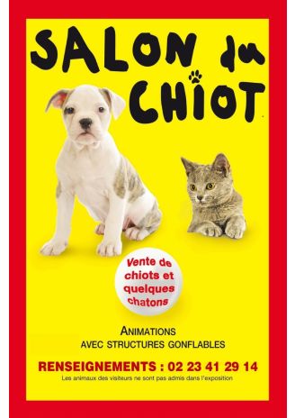 Le salon du chiot